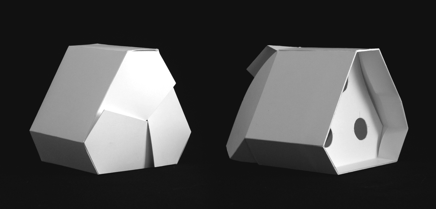 Packaging pour 3 ampoules